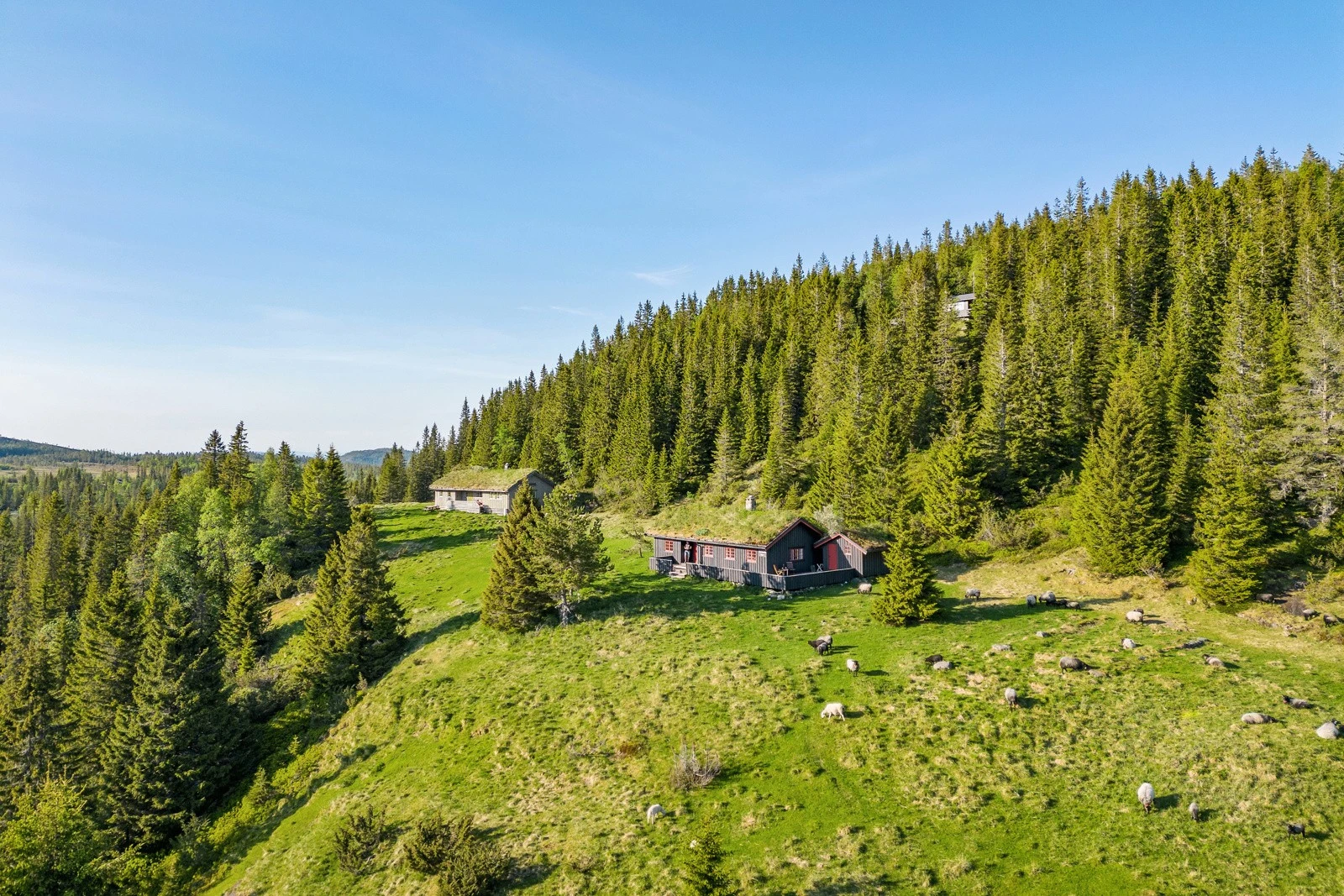 Hytta ligger 100 meter fra preparerte skiløyper. Galleribilde