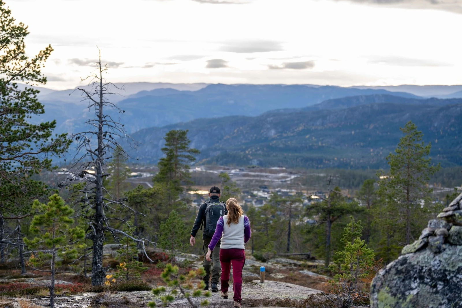 Flott turterreng sommer som vinter Galleribilde