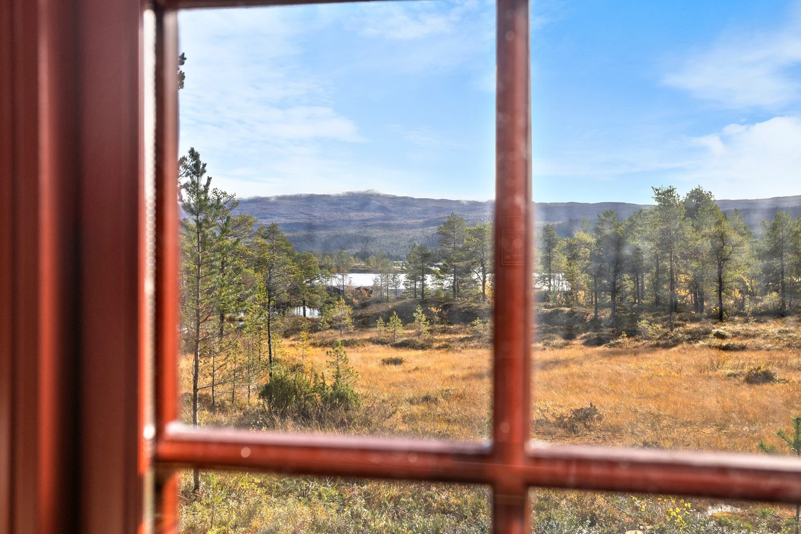 Utsikt fra spisebordet Galleribilde