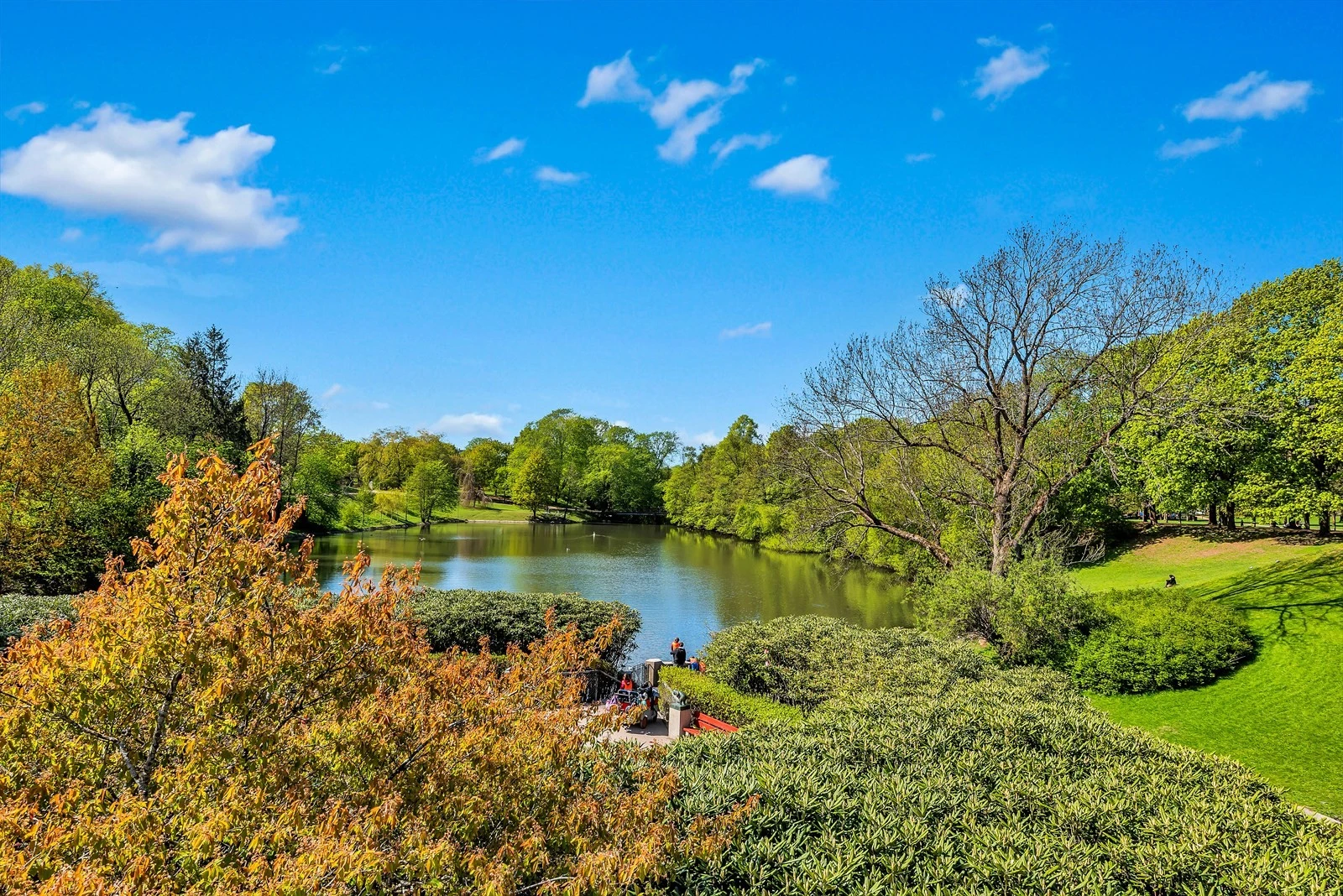 Ikke verst å ha dette grøntområde i nabolaget. Galleribilde