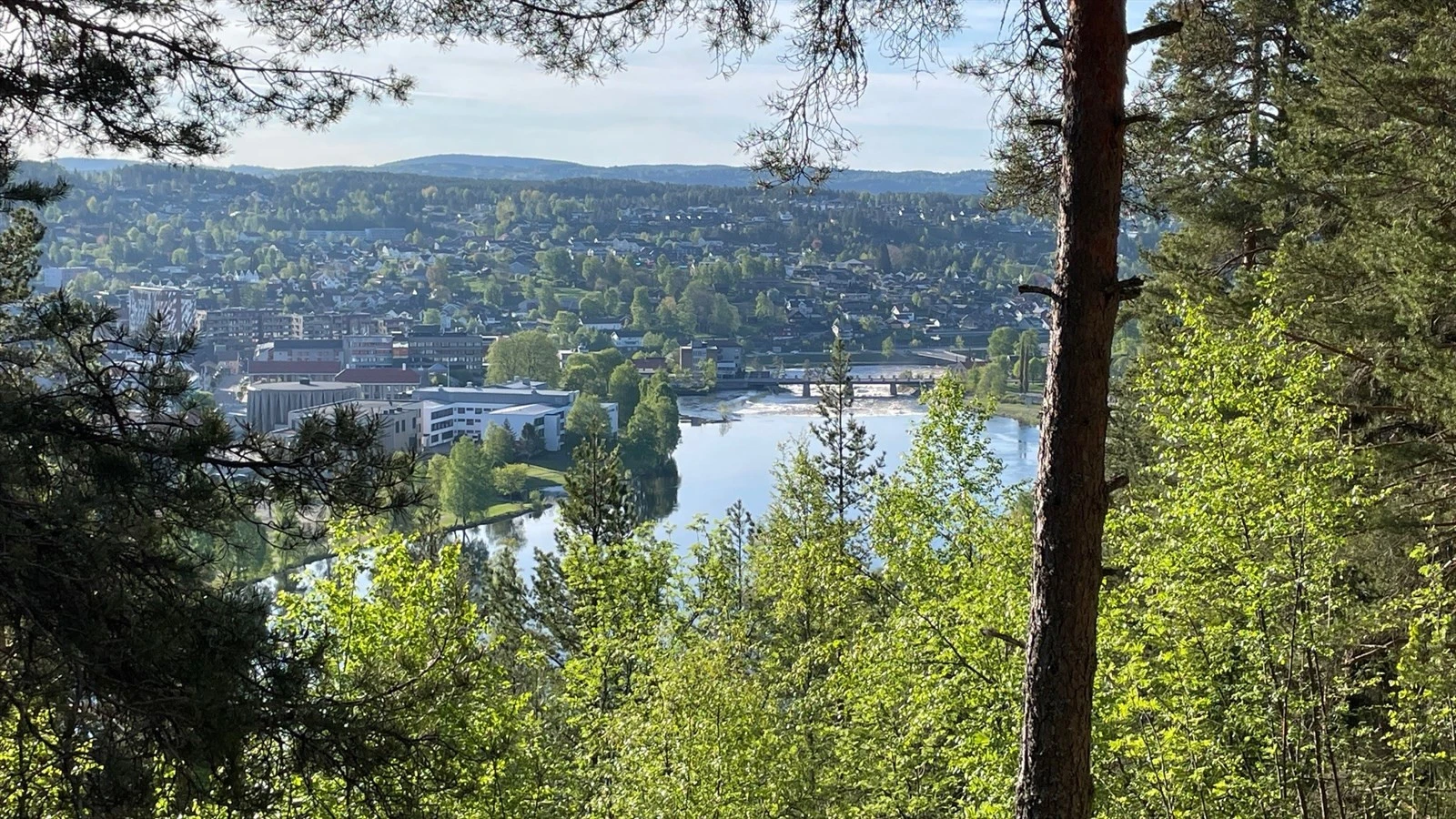 En av flere utsiktstopper i nærområdet. Galleribilde