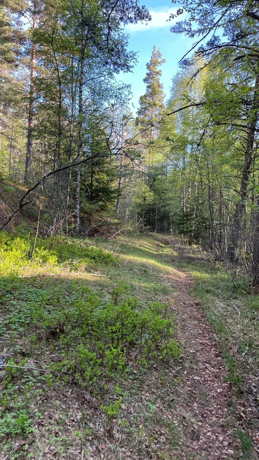 Tursti i nærområdet. Galleribilde