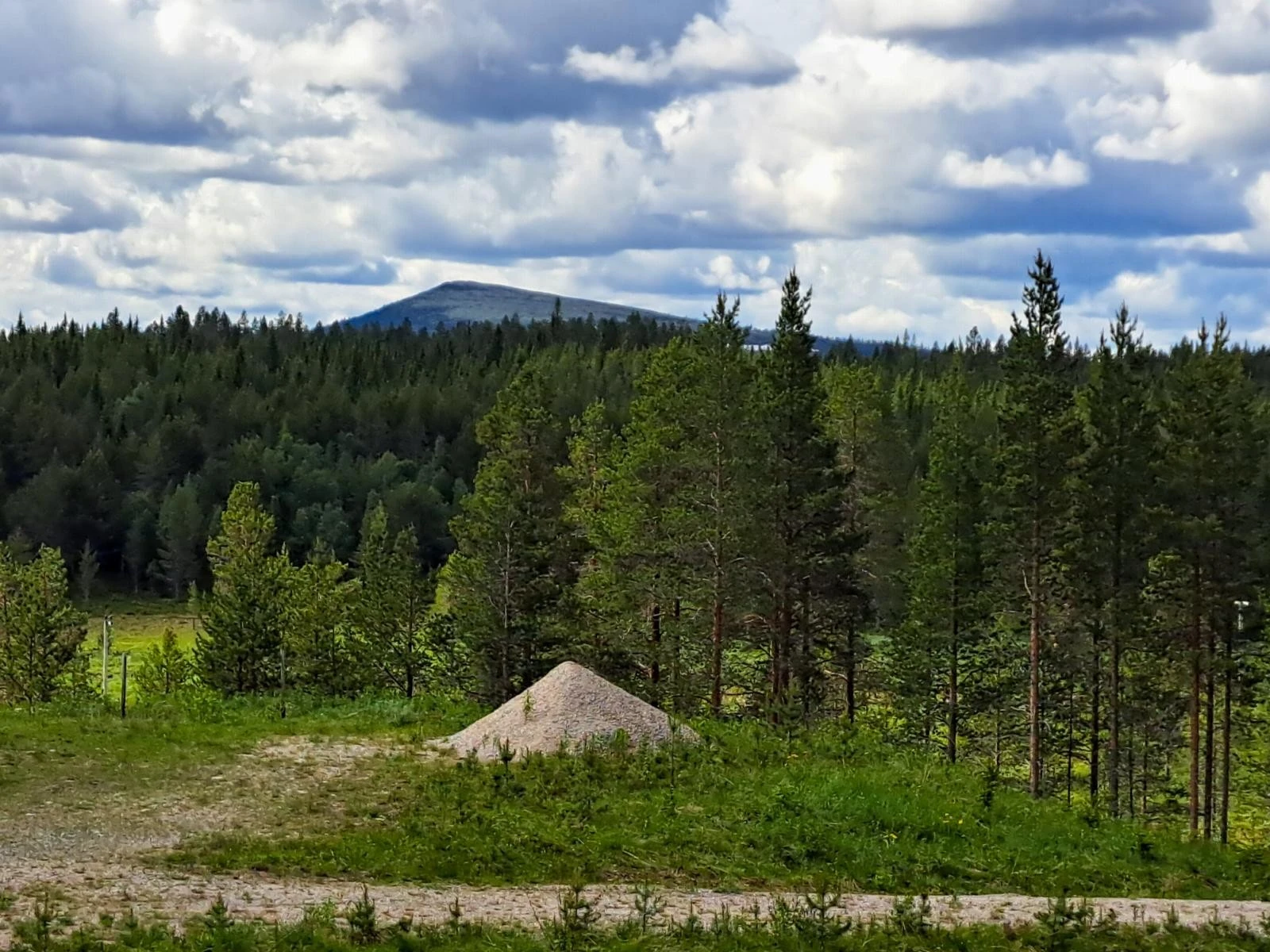 Utsikt mot Ulvåberget fra søndre del av tomtearealet. Galleribilde