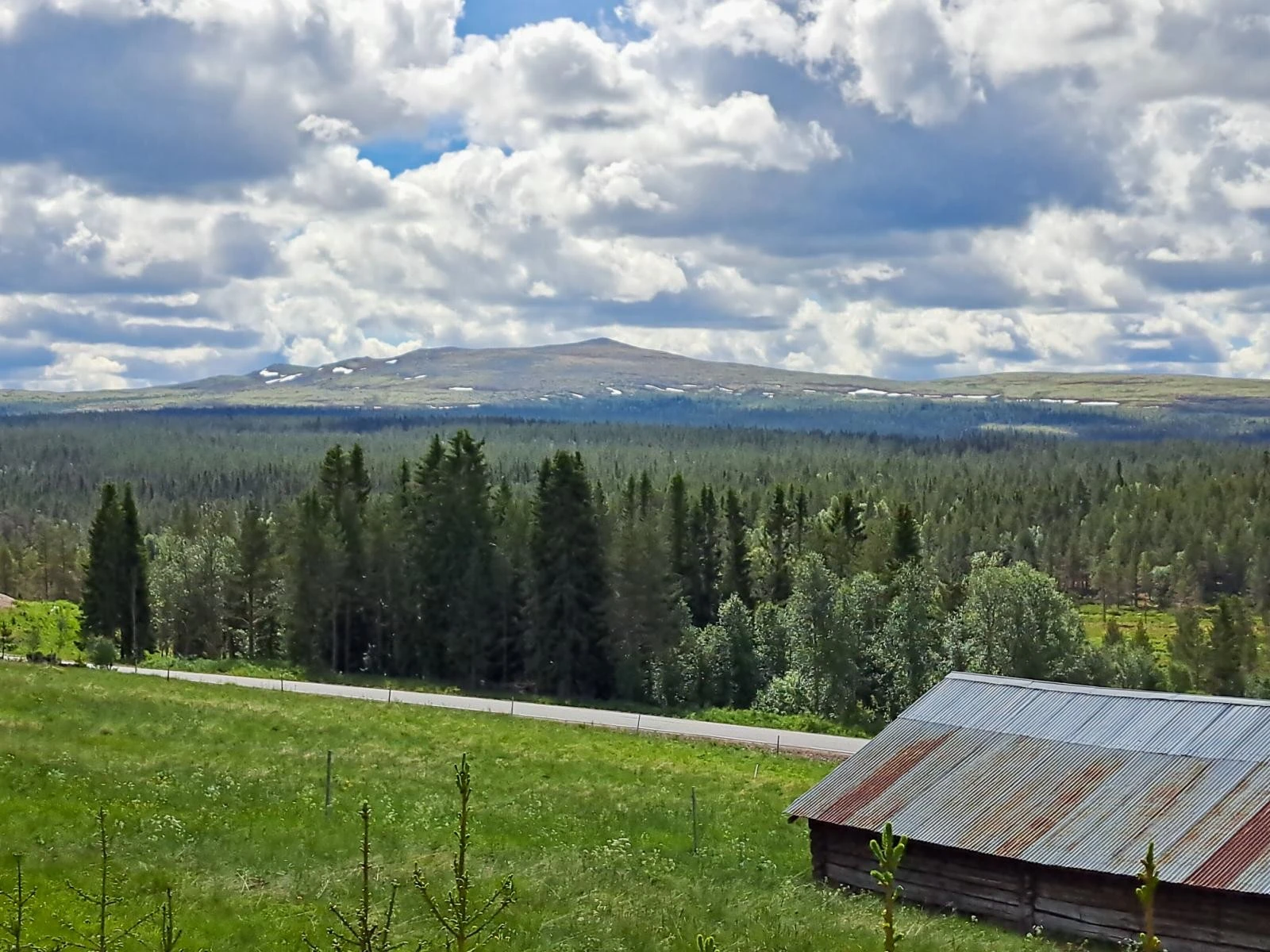 Utsikt sørover mot Kvitvorda fra nordre del av tomtearealet. Galleribilde