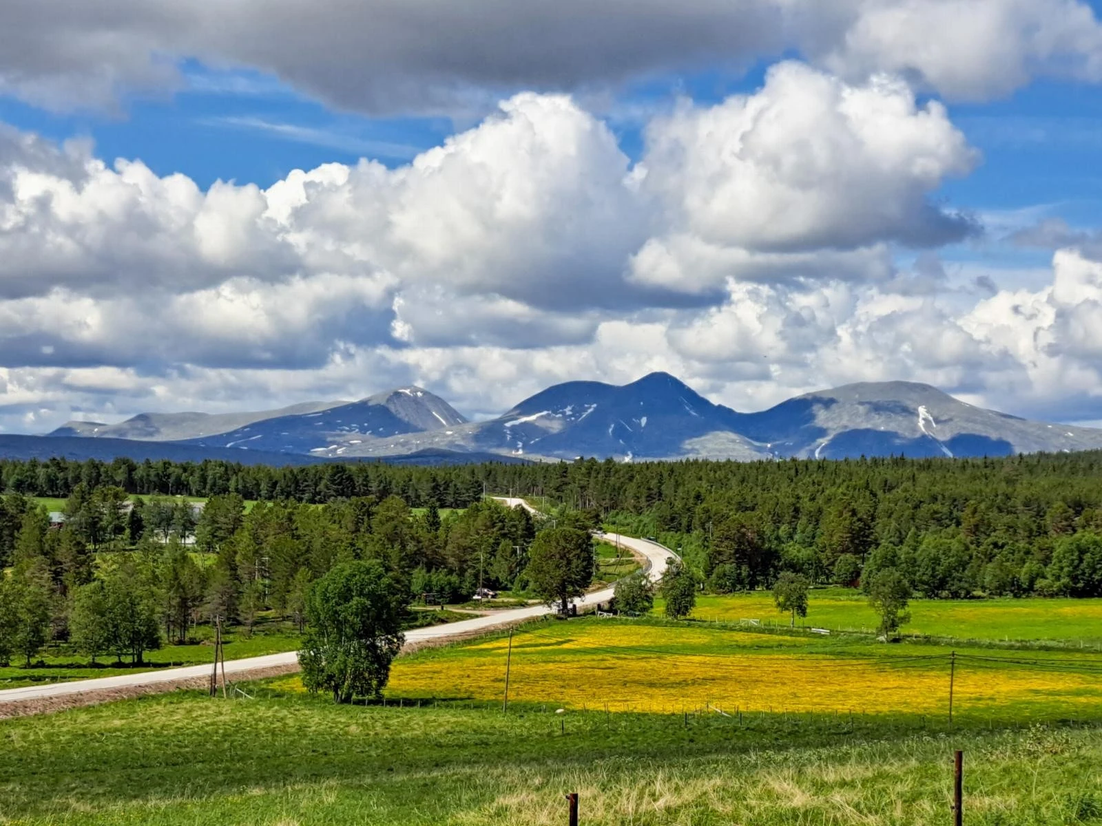 Utsikt vestover mot Rendalssølen fra nordre del av tomtearealet. Galleribilde