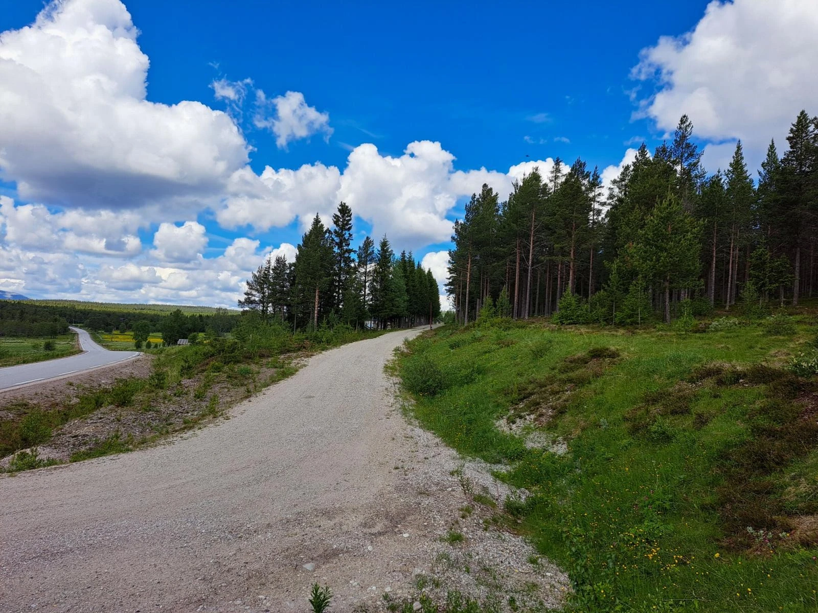 Søndre del av tomtearealet på oversiden av gardsveien inn til Gløtvola Søndre Galleribilde