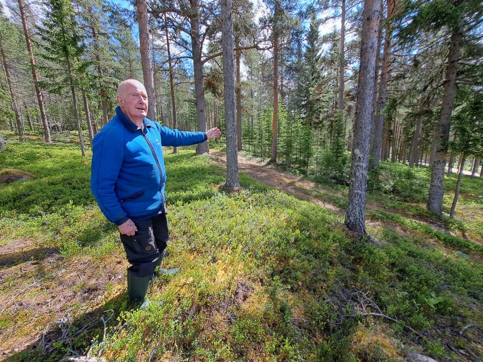 Per Westgård peker sørover fra på nordre del av tomtearealet. Galleribilde