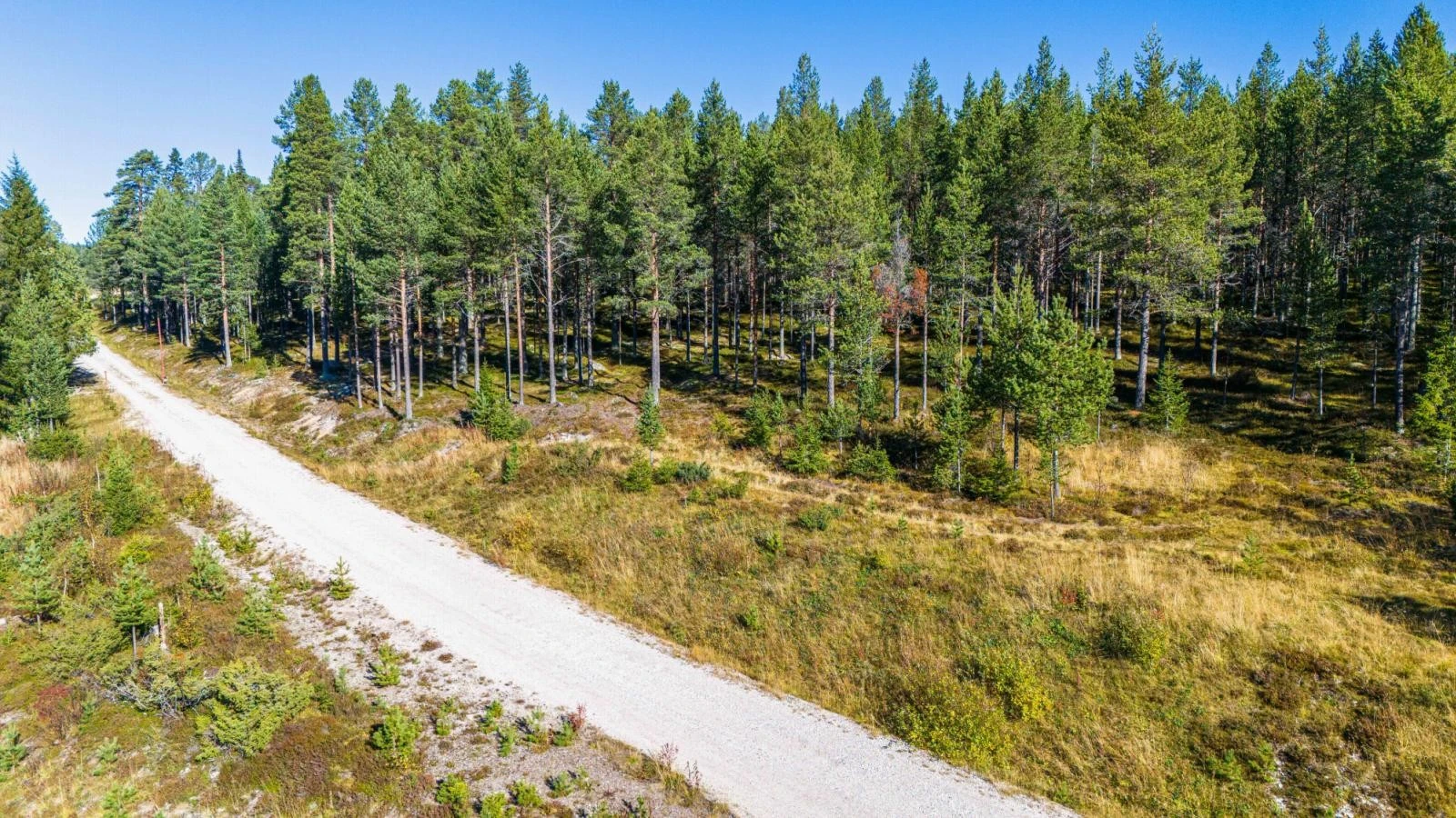 Avkjørsel og vei til gården Gløtvola Søndre. Tomtearealet på høyre side av veien Galleribilde