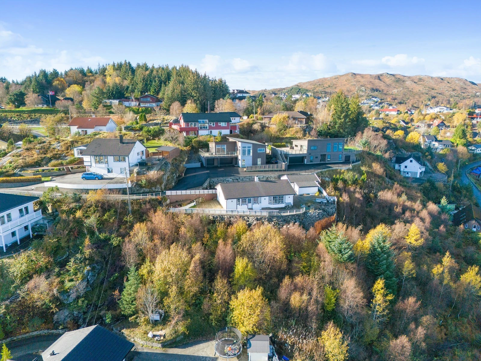 Eiendommen ligger i skrånet terreng og består primært av trær og buskas Galleribilde