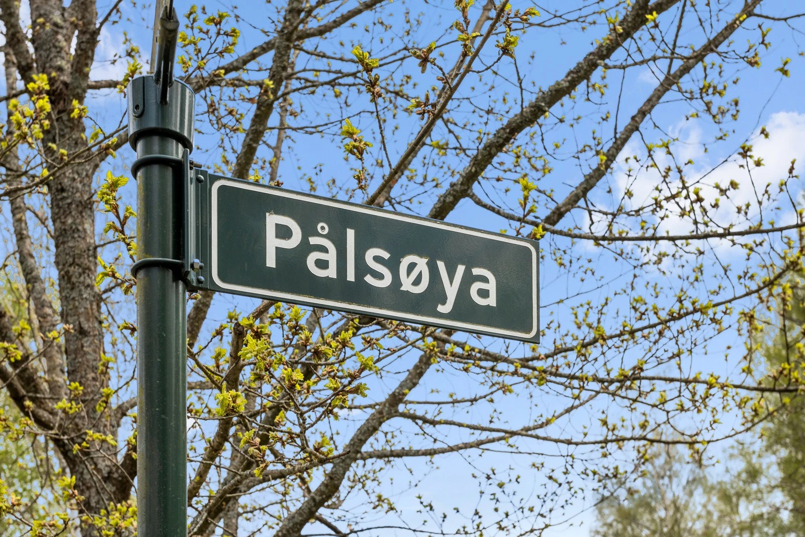 Pålsøya ligger rett nedenfor Galleribilde