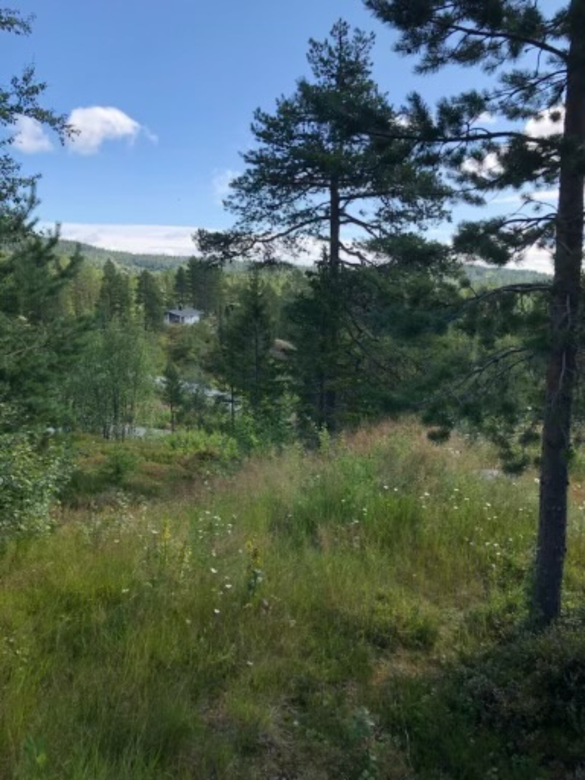 Utsiktsbilde fra selger. Galleribilde