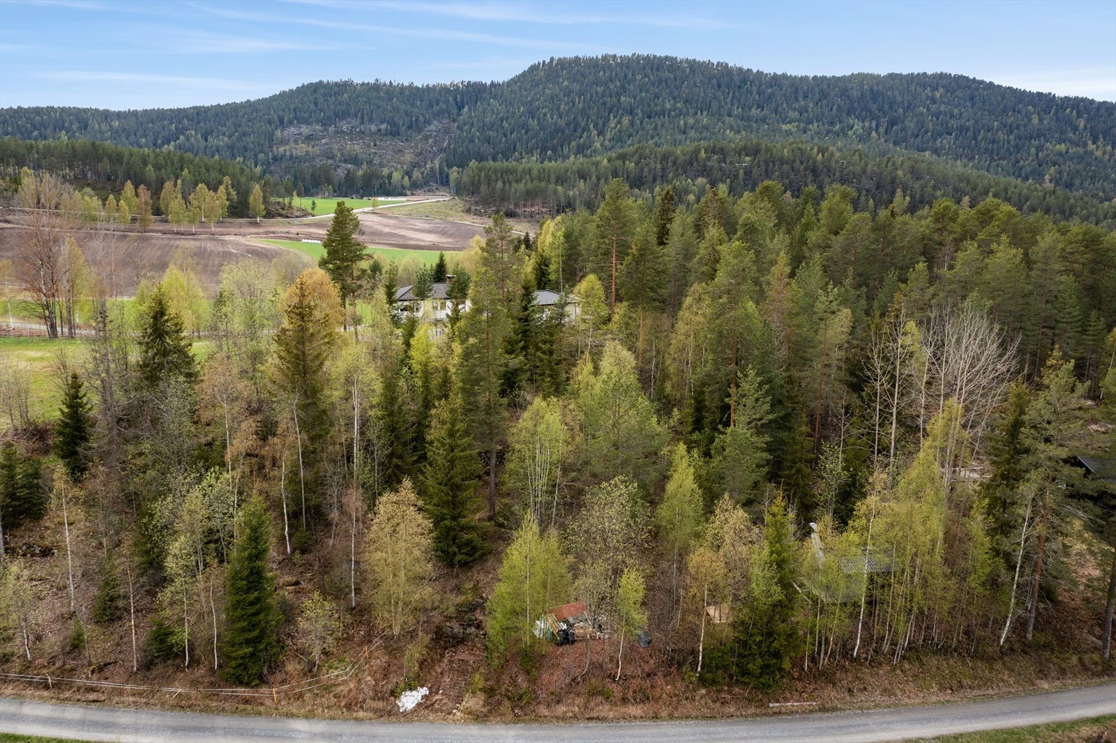 Den lille hytta skimtes bak trærne. Galleribilde