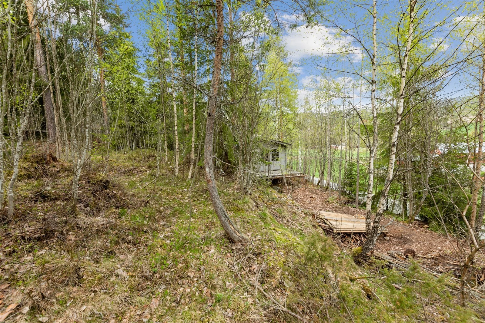 Tomten ligger i skrånende terreng. Galleribilde
