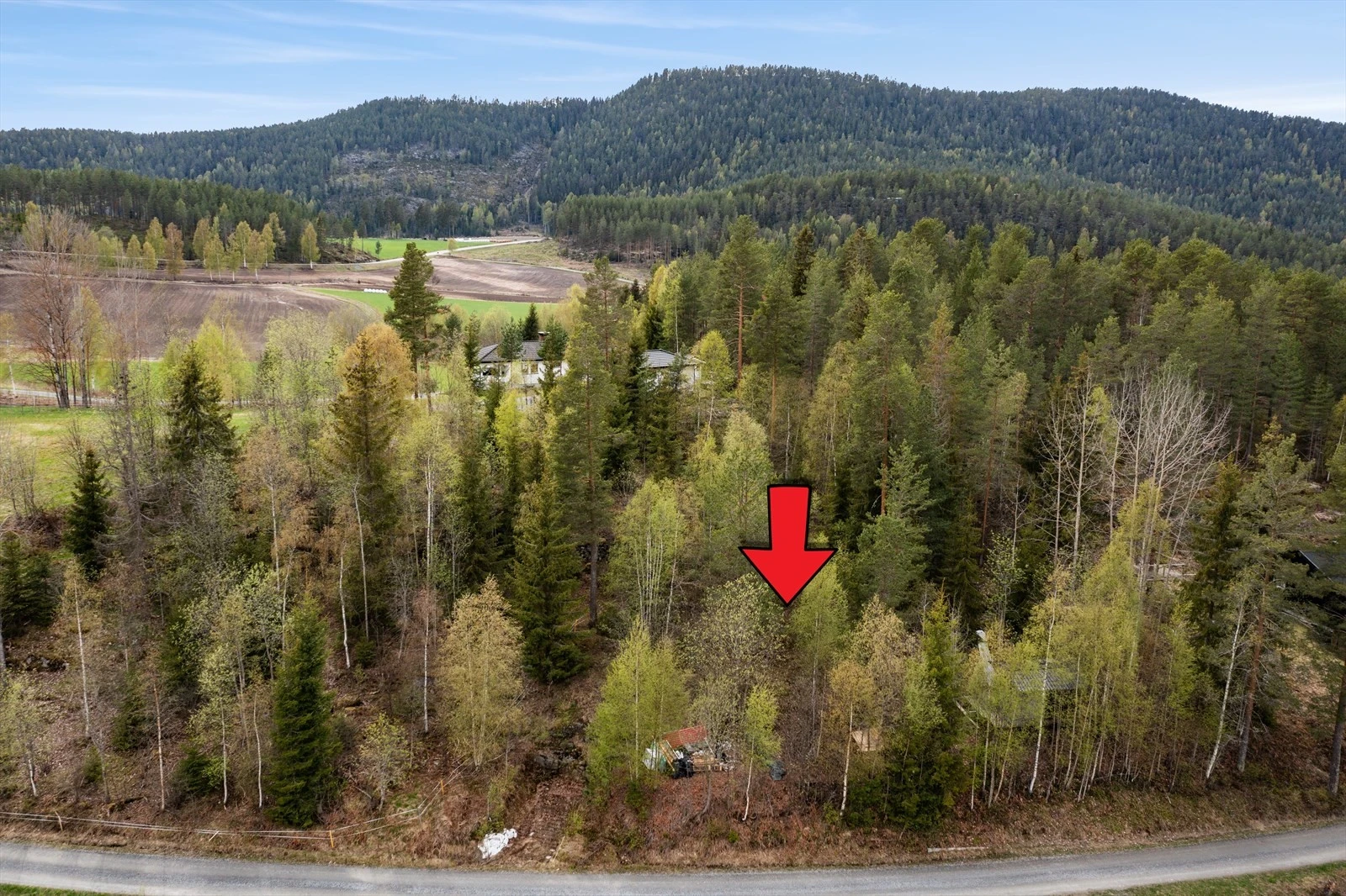 Den lille hytta skimtes bak trærne. Galleribilde