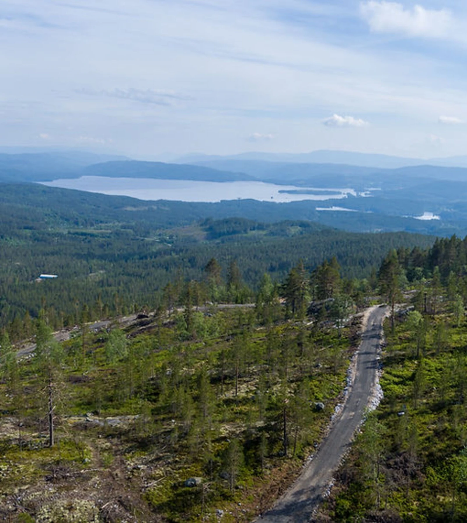 Foto fra tomteområdet Galleribilde
