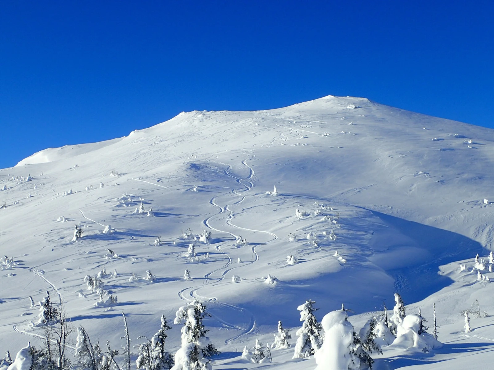 Surløyteknuten - ypperlig for rando-turer i nærområdet Galleribilde