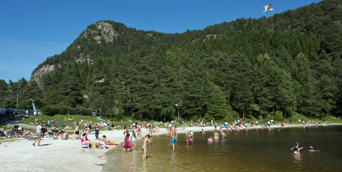 Nipedalen like ved Galleribilde