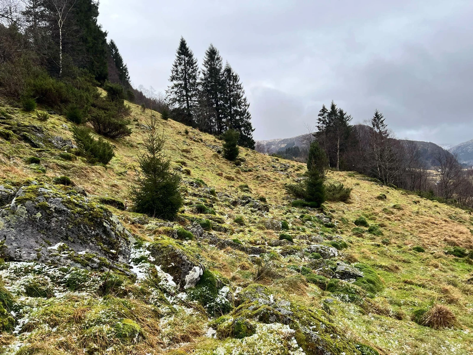 Frå "Klokkarlia" Galleribilde