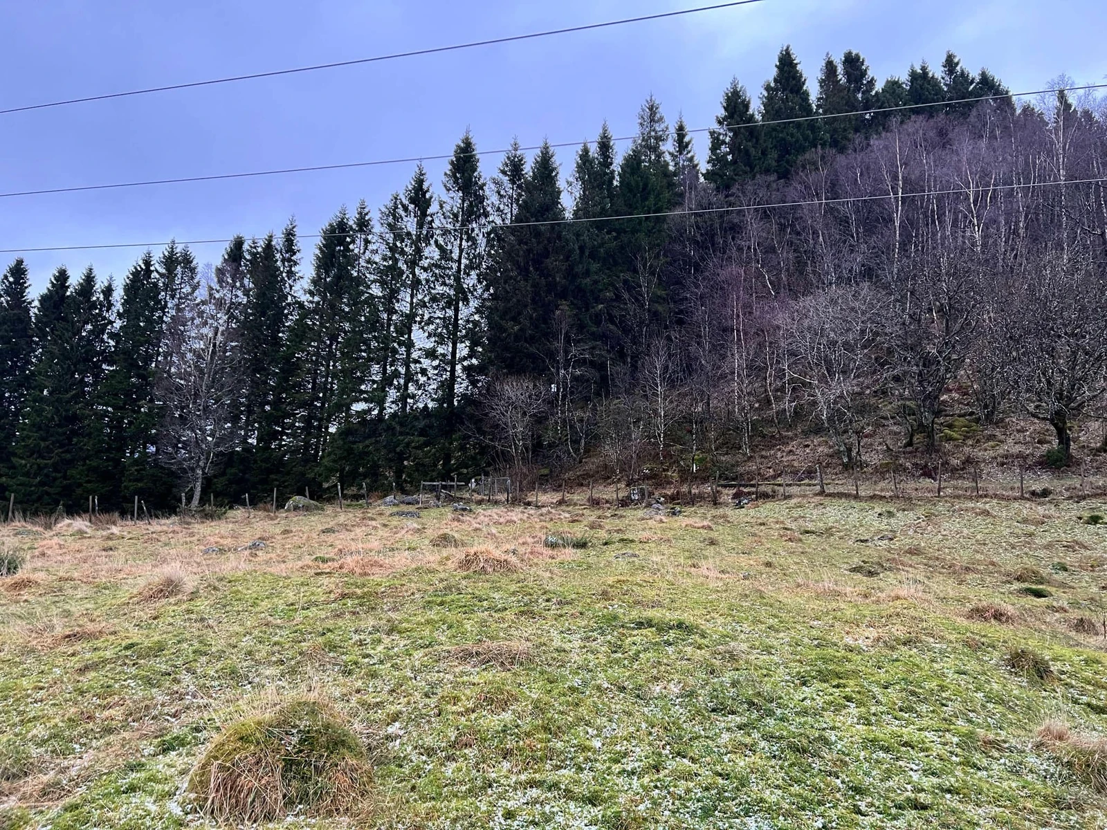 Øvst - flatt terreng Galleribilde