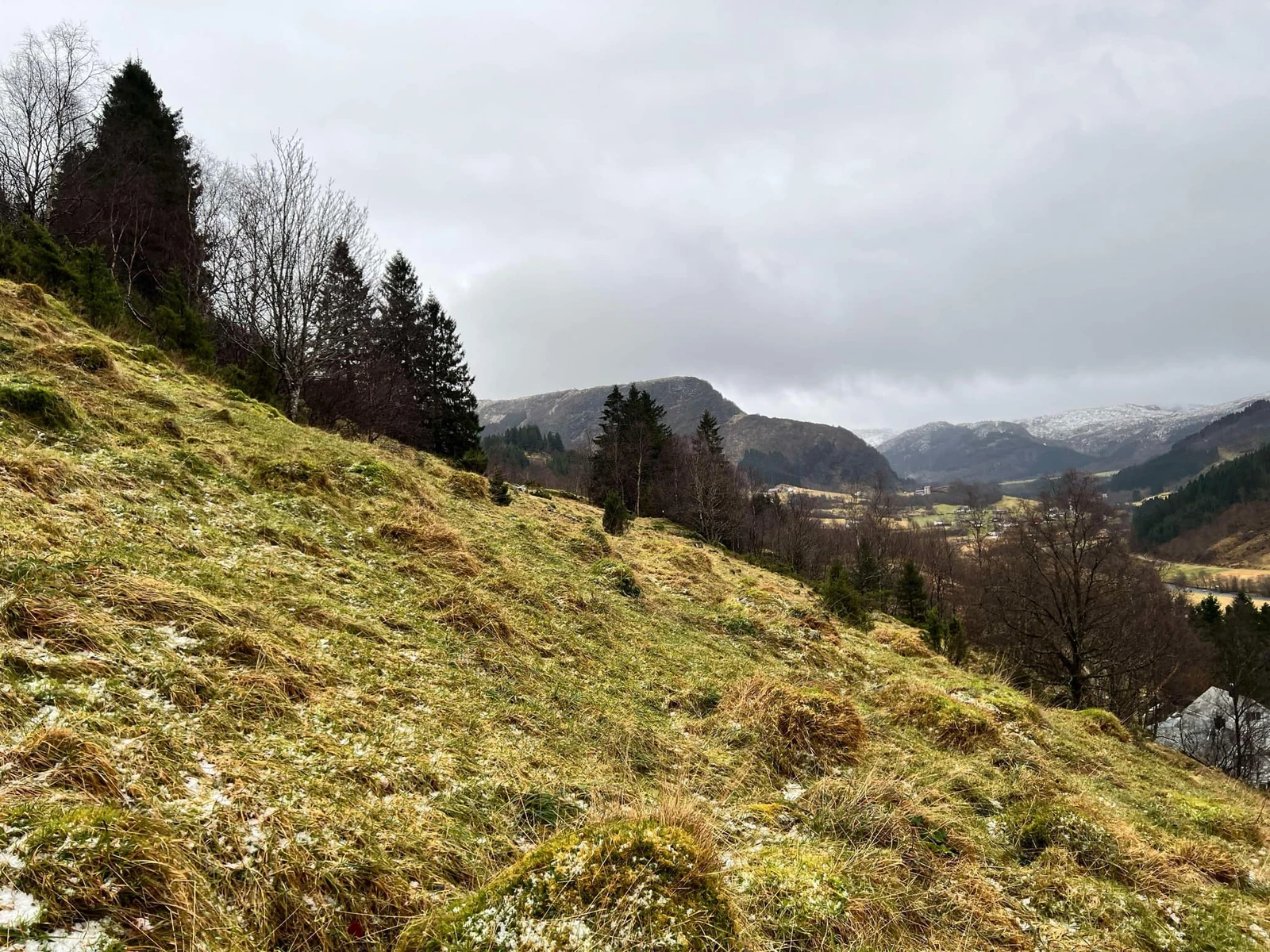 Bilde tatt fra boligfelt - Klokkarlia Galleribilde
