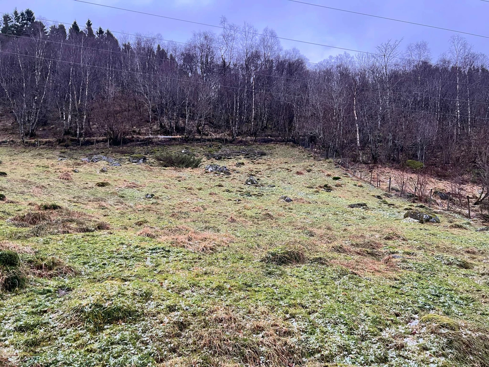 Øvst - flatt terreng Galleribilde