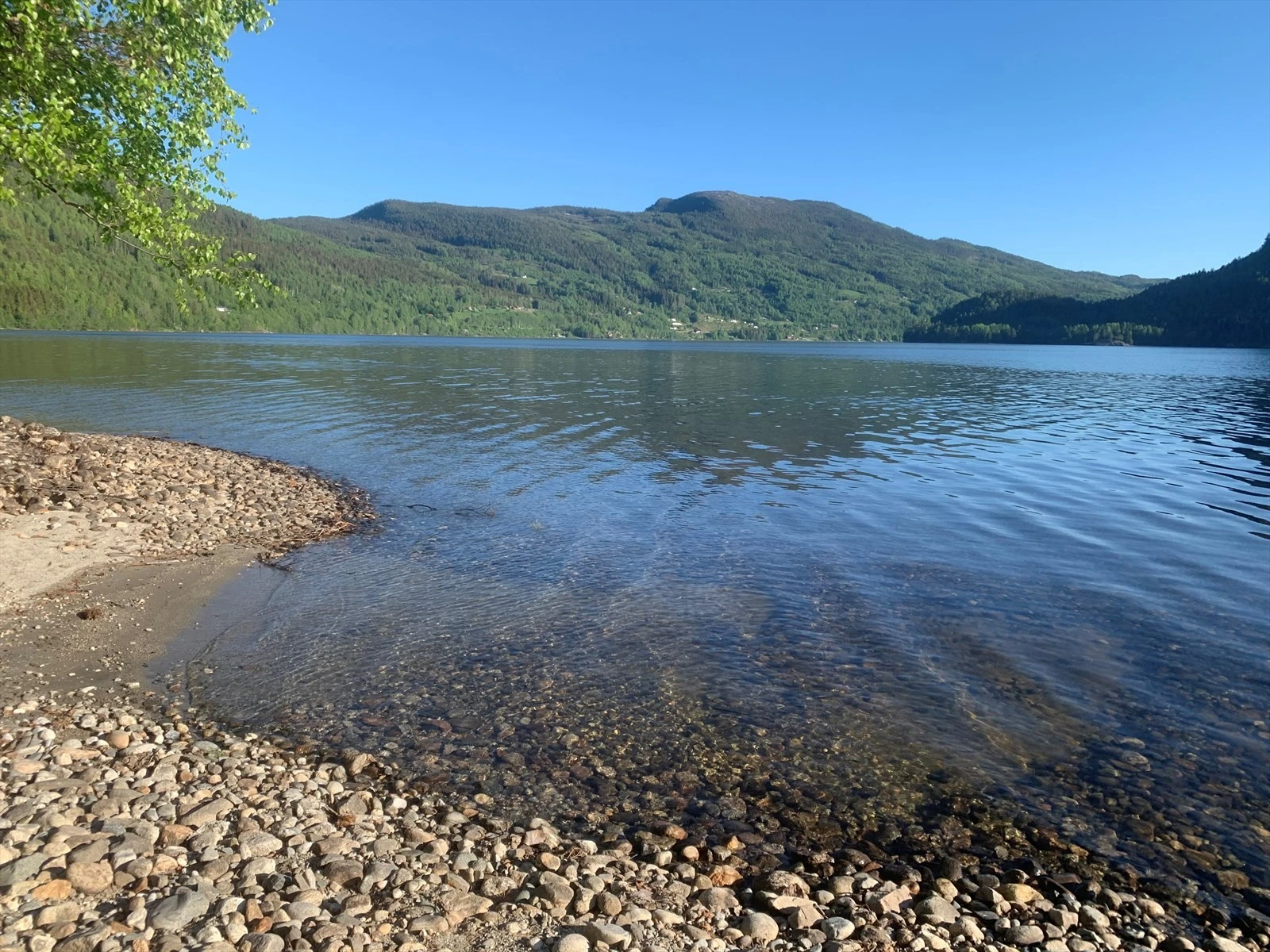 (Privat bilde) Galleribilde