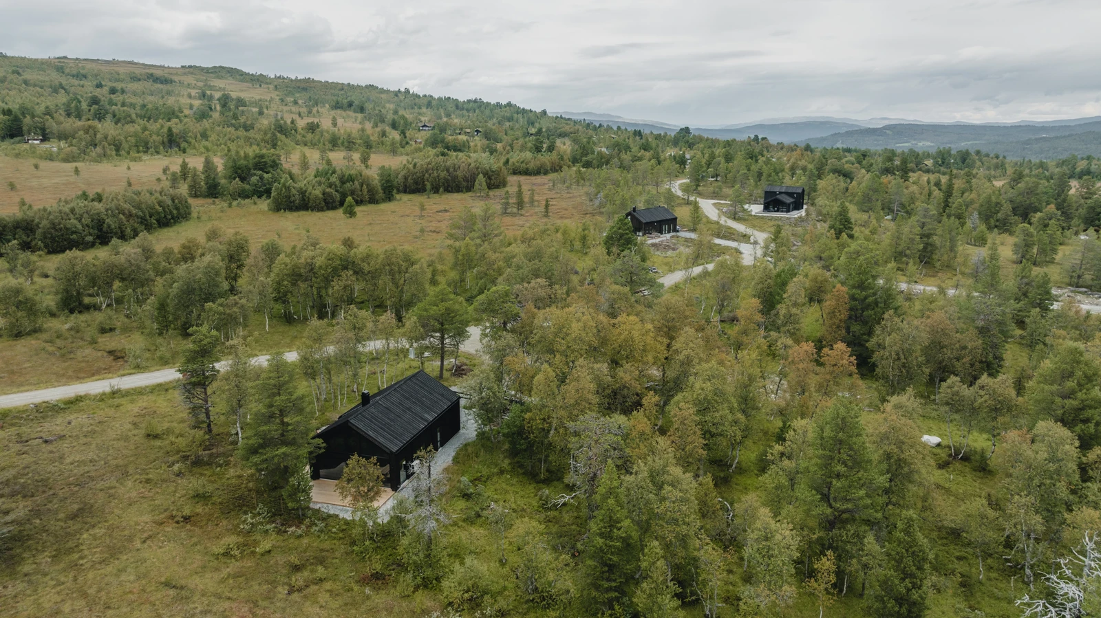 Bilde fra tomtefeltet Galleribilde