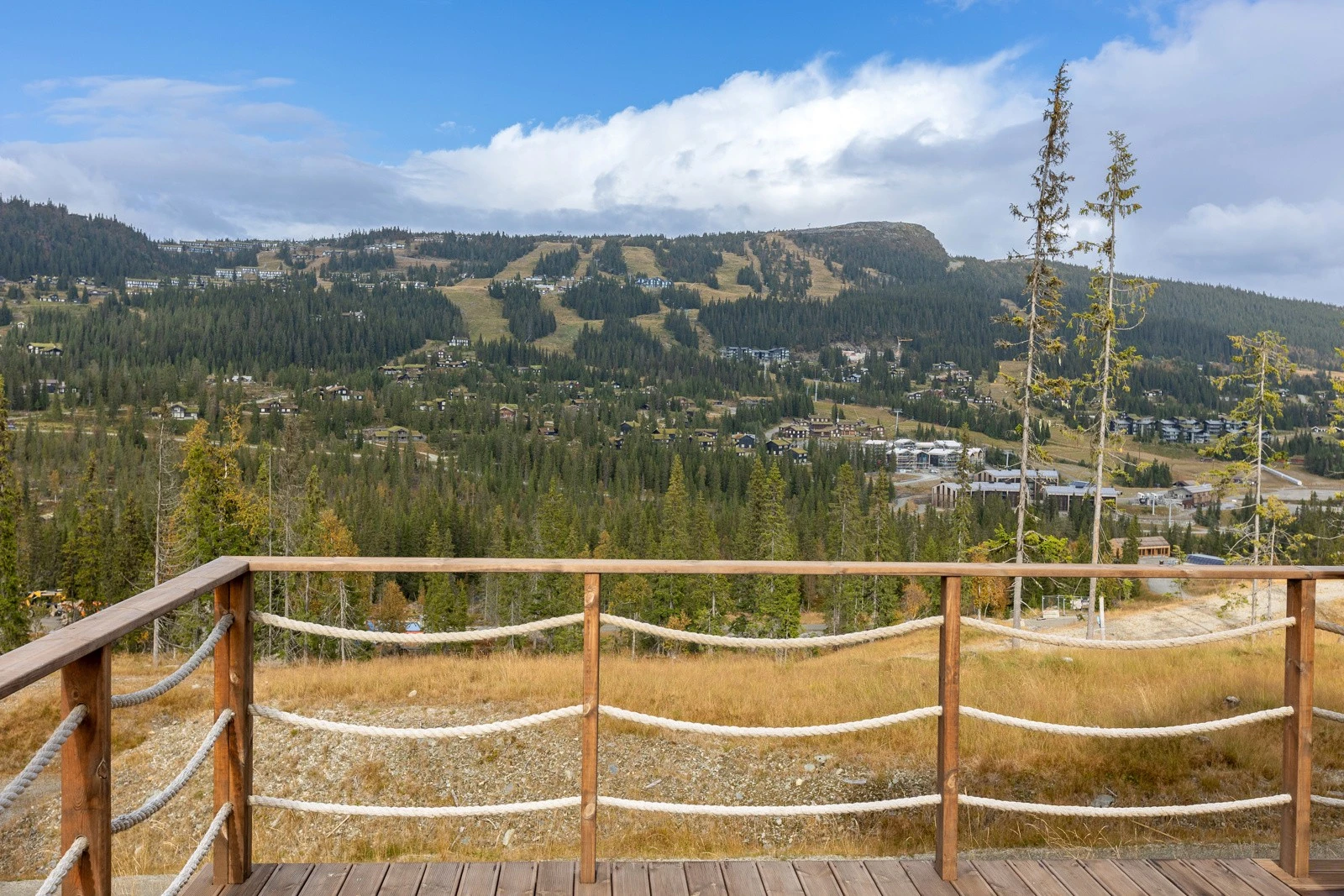 Flott utsikt fra verandaen. Galleribilde