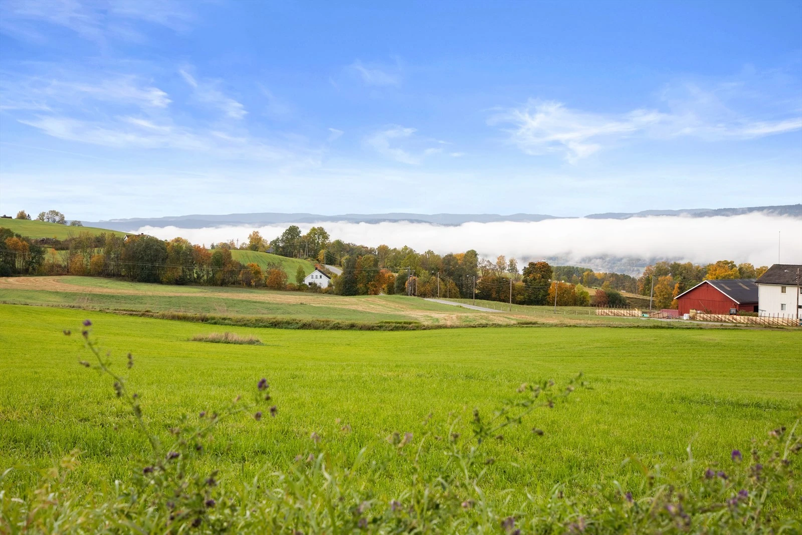 Tomten grenser til hennsynssone for kulturminne området Hennum. Galleribilde