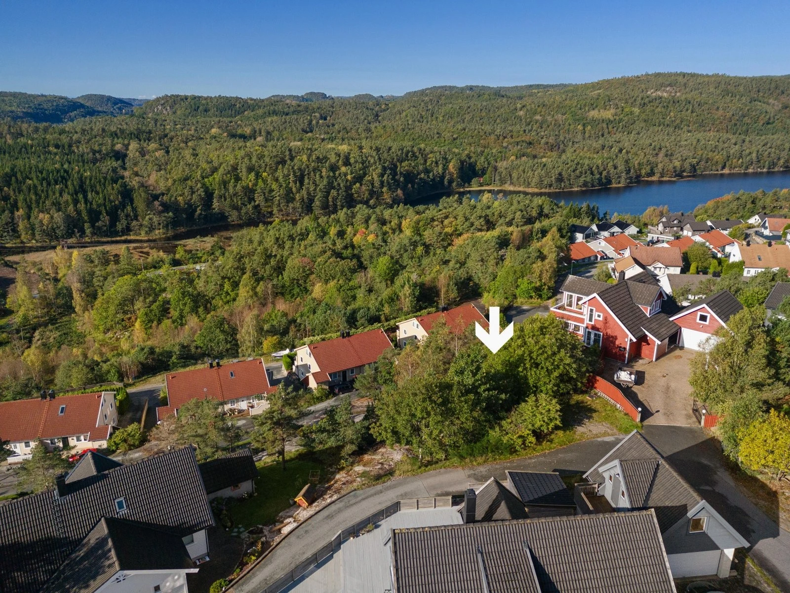 Tomten har noen trær på tomten Galleribilde