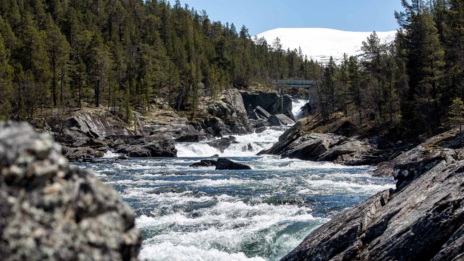 Elva Sjoa går i nærheten Galleribilde