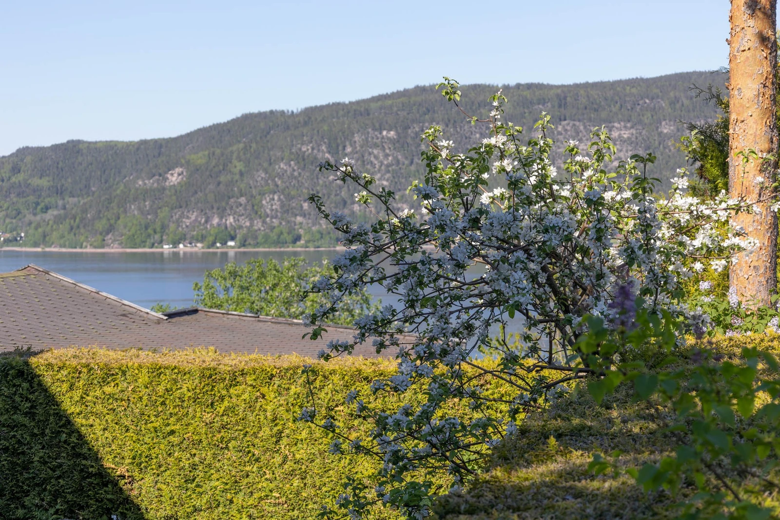 Hyggelig utsikt Galleribilde