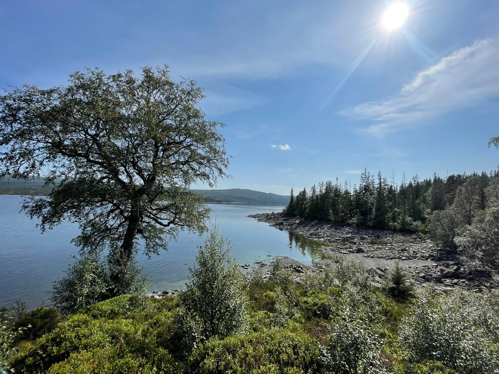 Utebilde Galleribilde