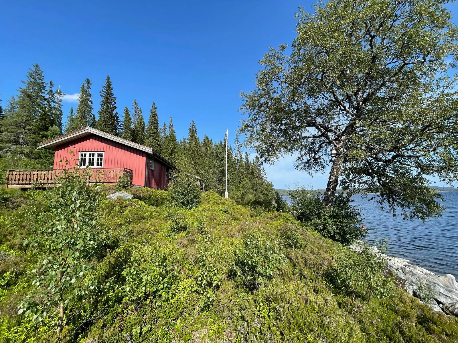 Utebilde Galleribilde