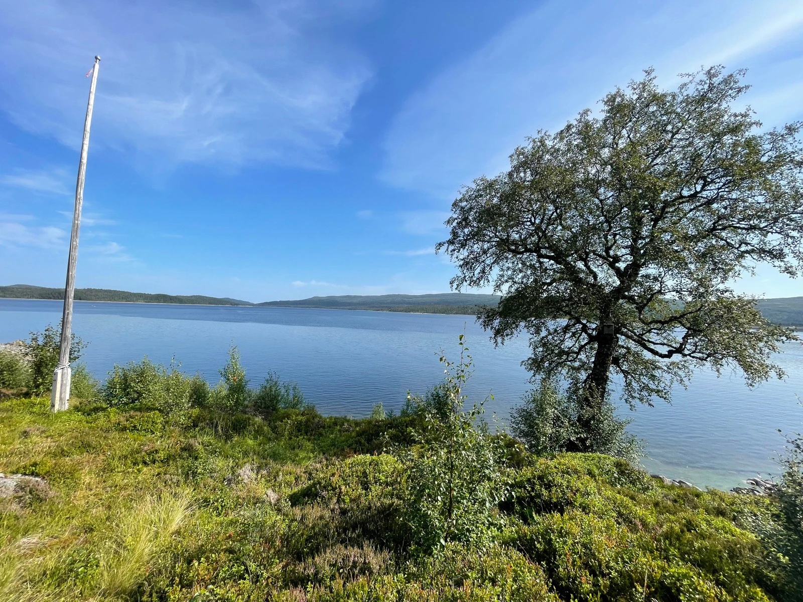 Utebilde Galleribilde