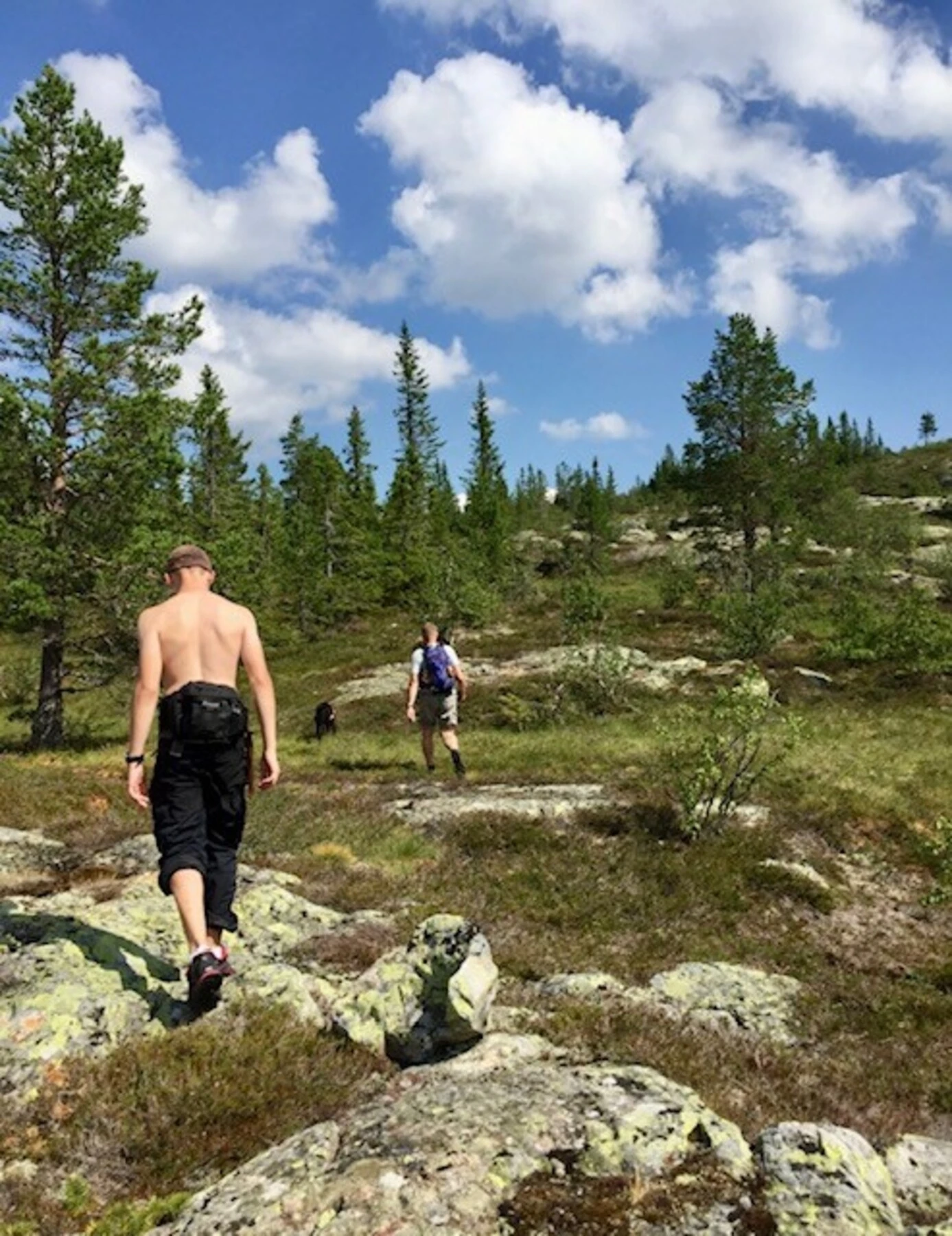 Foto fra turmuligheter i nærområdet Galleribilde