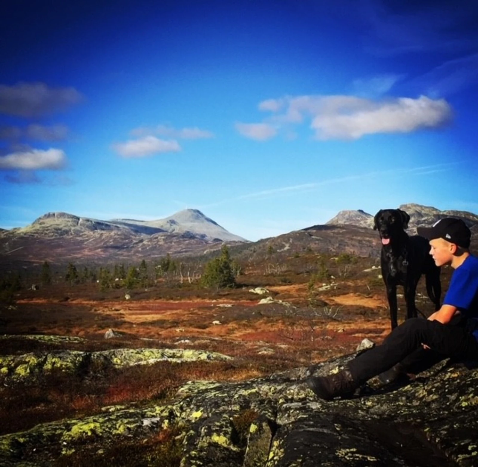 Flotte turområder! Her mot Gaustatoppen Galleribilde