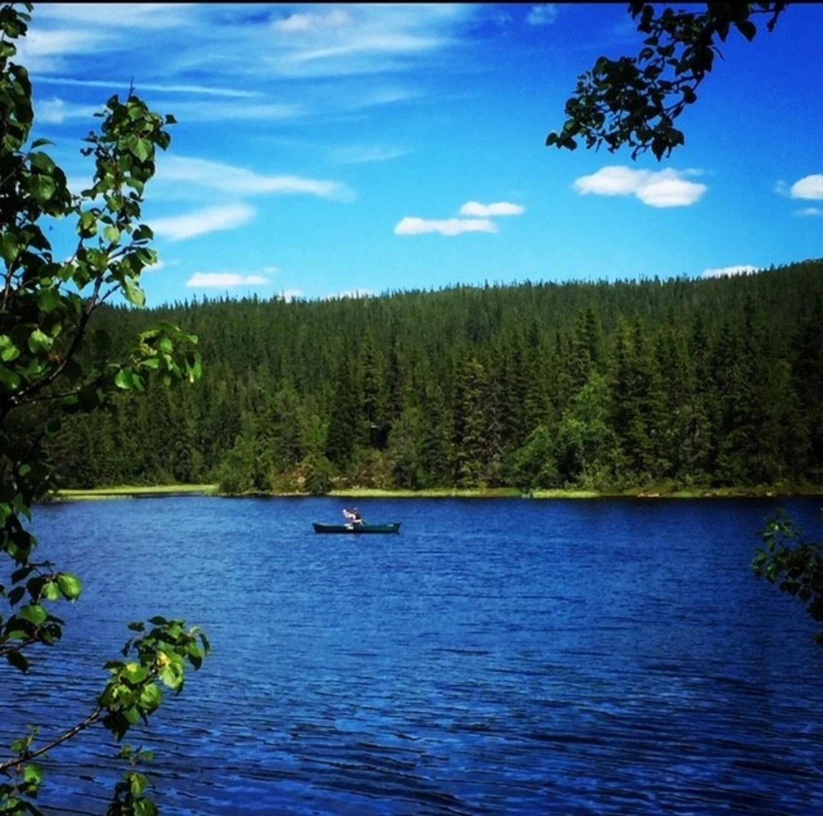 Området byr på flere vann og elver. Flotte kano / fiskemuligheter Galleribilde