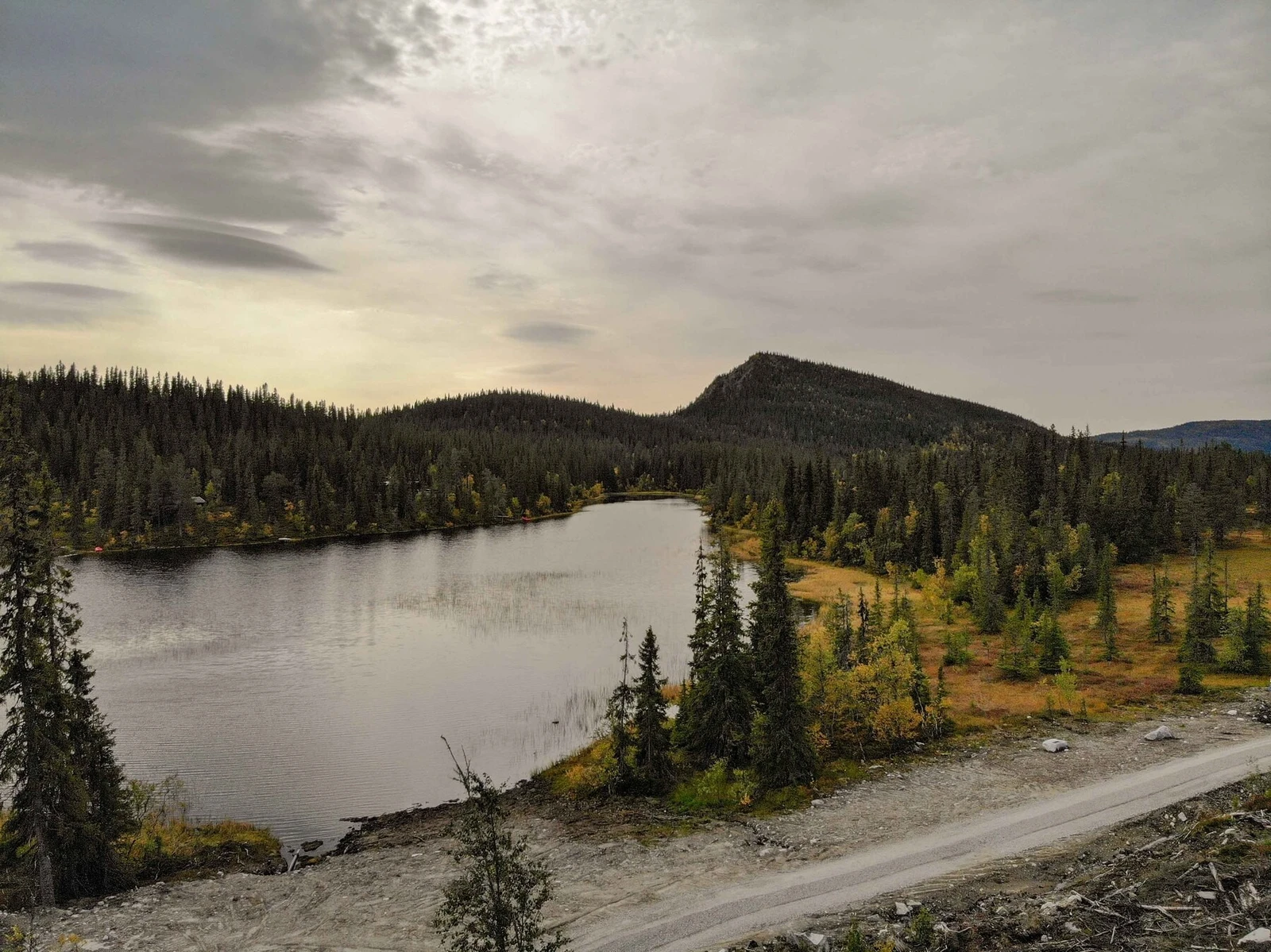 Fra tomteområdet mot Langetjønn Galleribilde