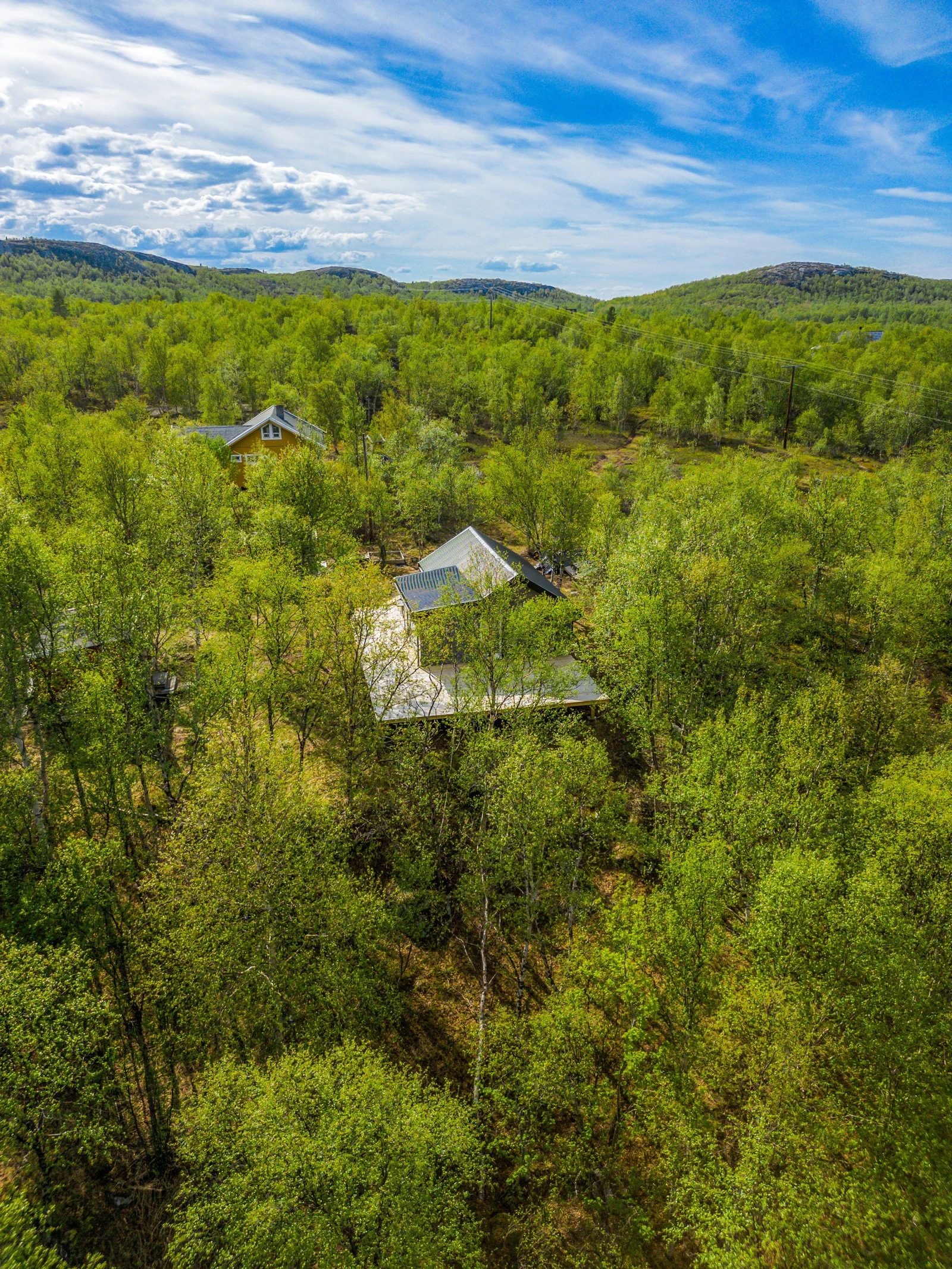 Oversiktsbilde Galleribilde