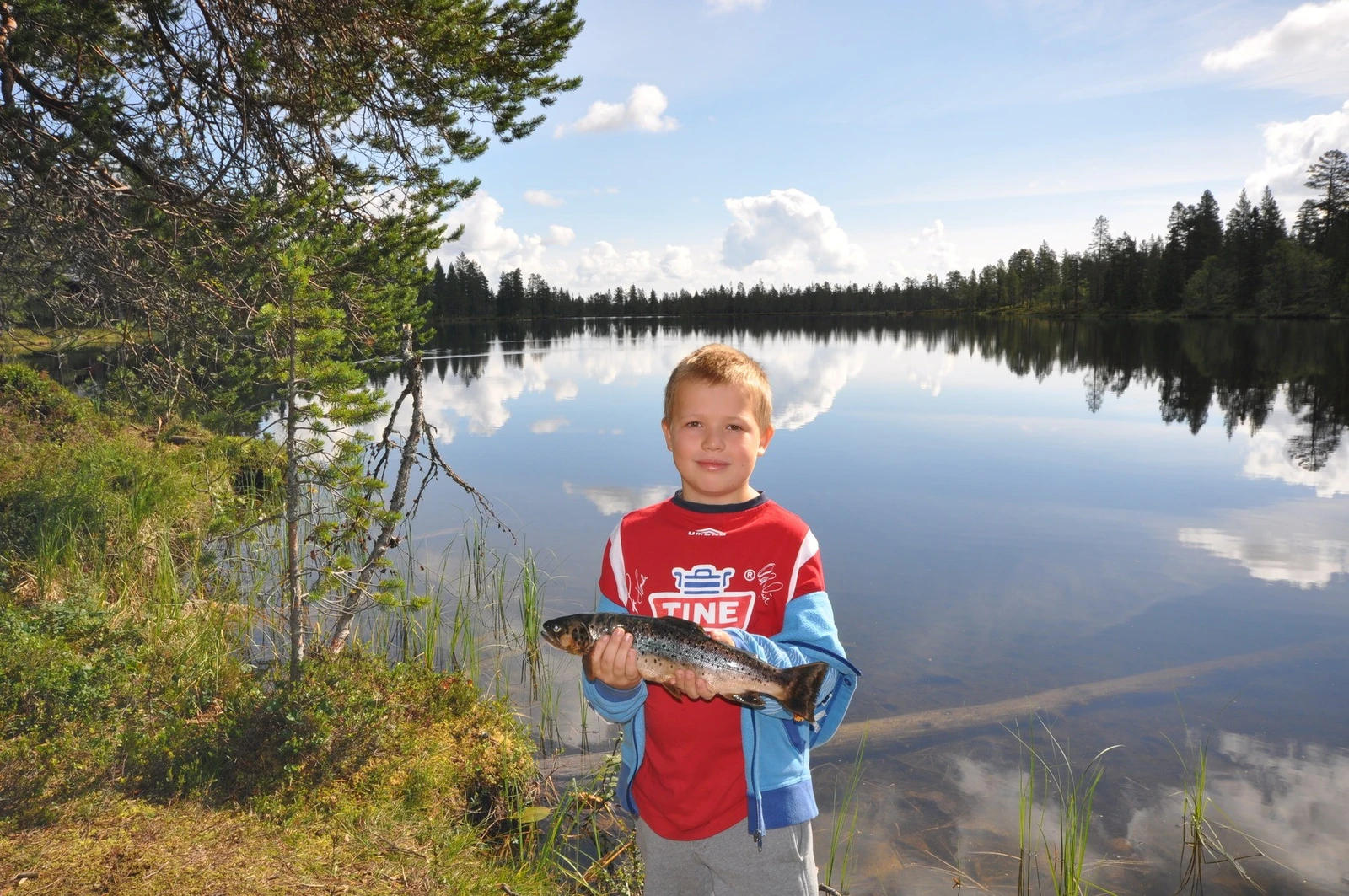 Mange fiskevann i området Galleribilde