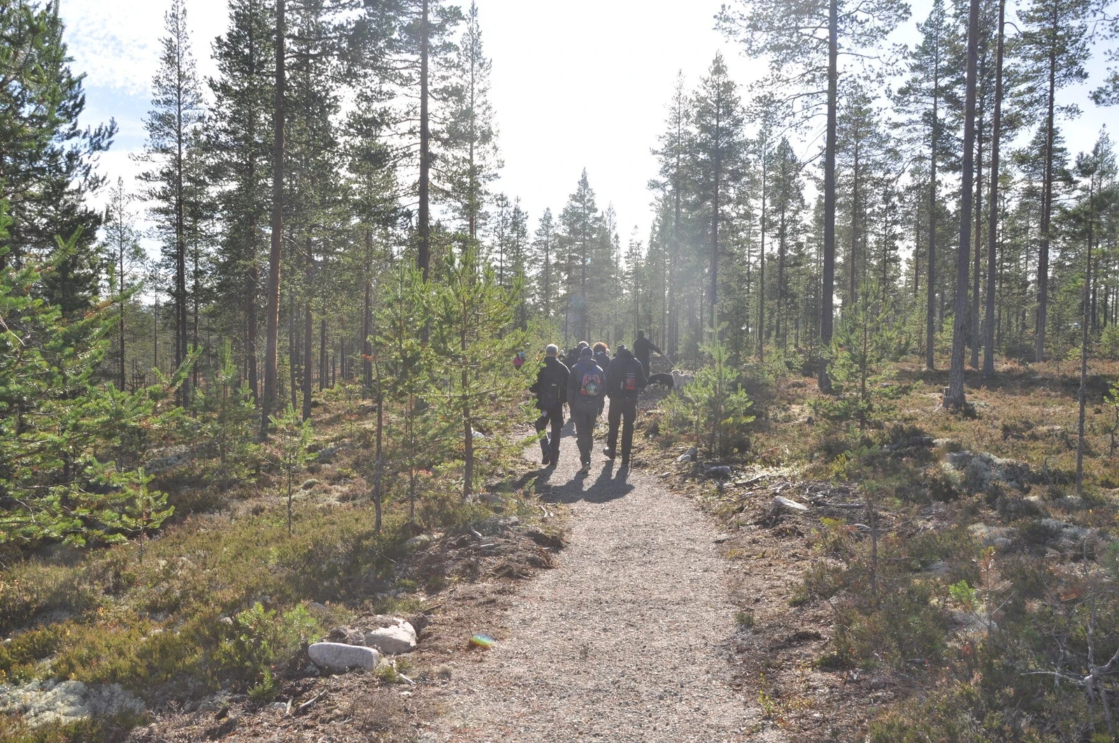 Tilrettelagte stier i naturskjønne omgivelser Galleribilde
