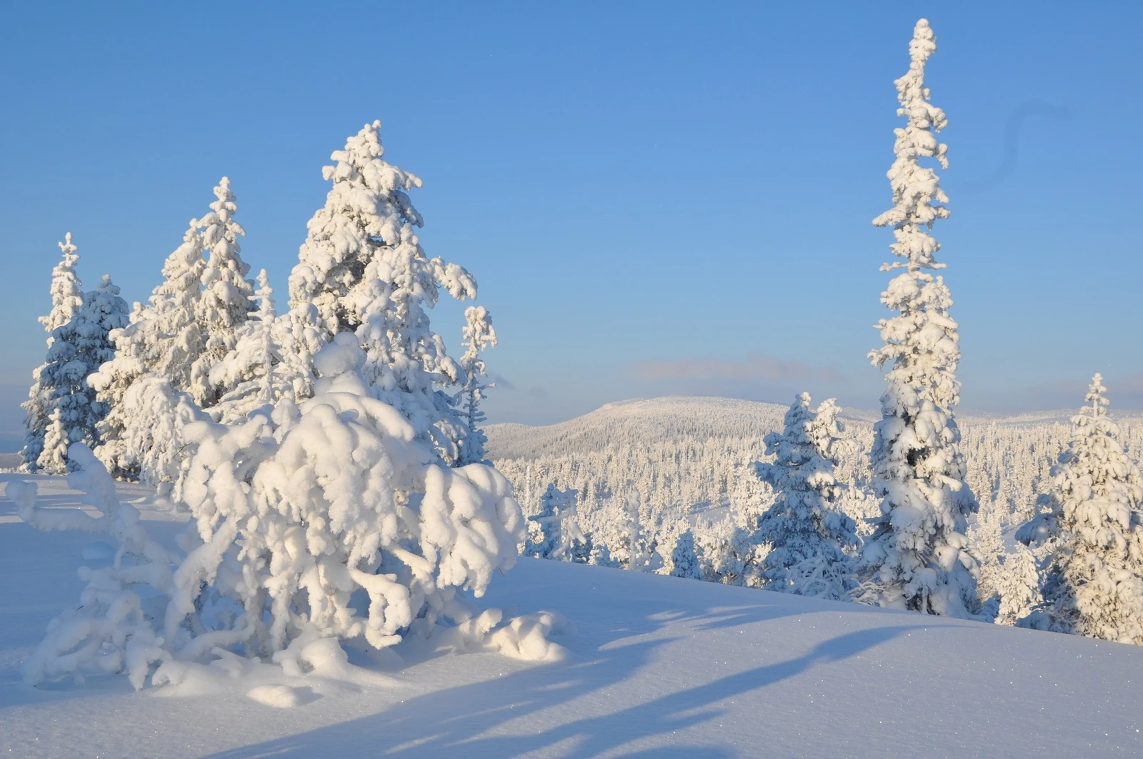 Vakkert landskap! Galleribilde