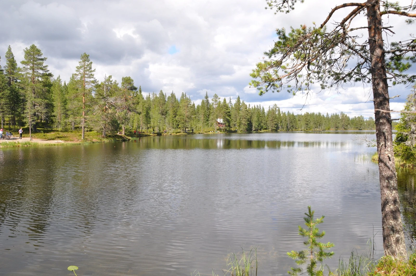 Mange fine vann i området Galleribilde