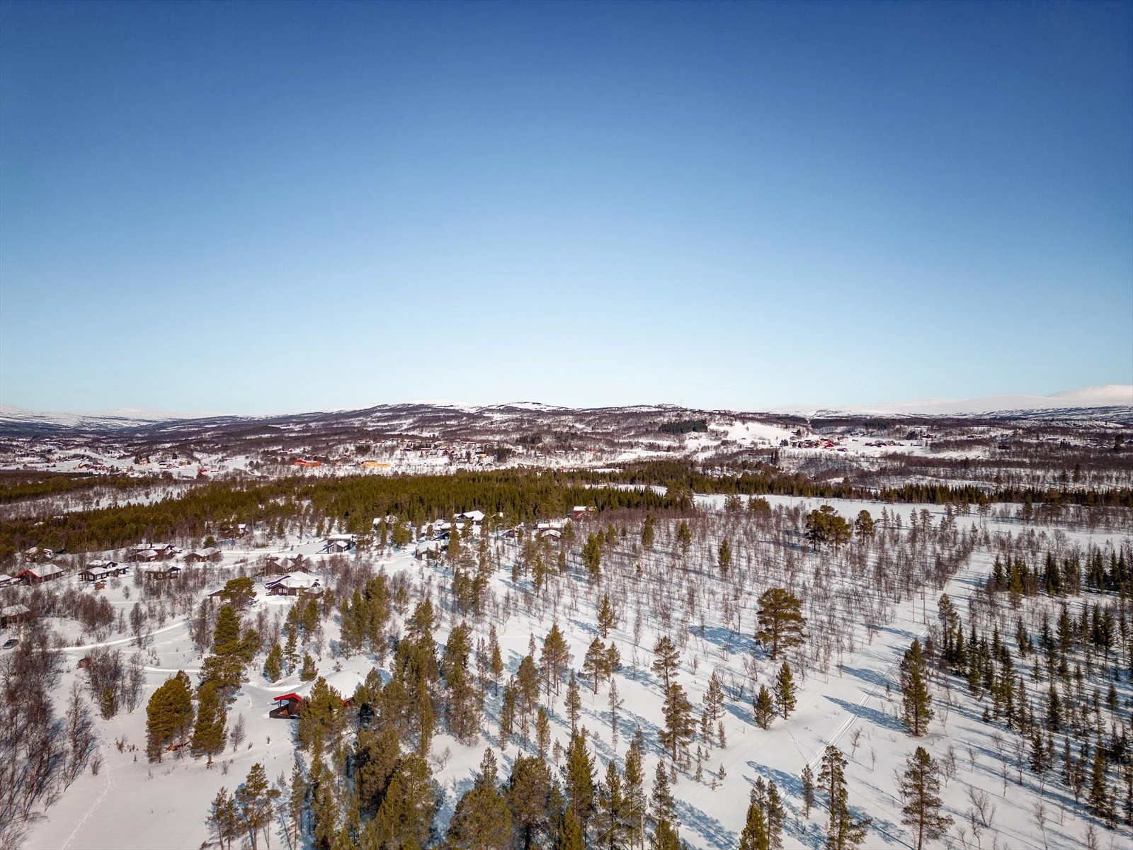 Vinterbilde av feltet. Galleribilde