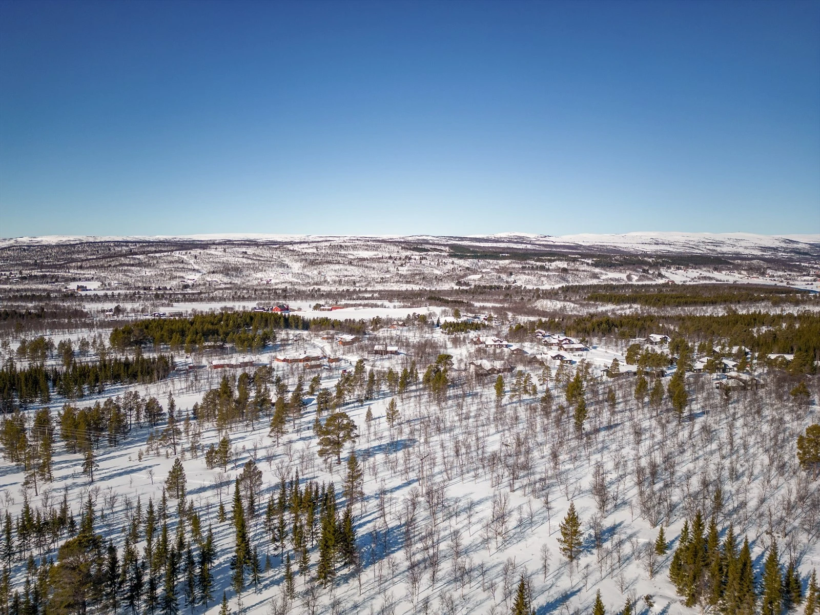 Vinterbilde av feltet. Galleribilde