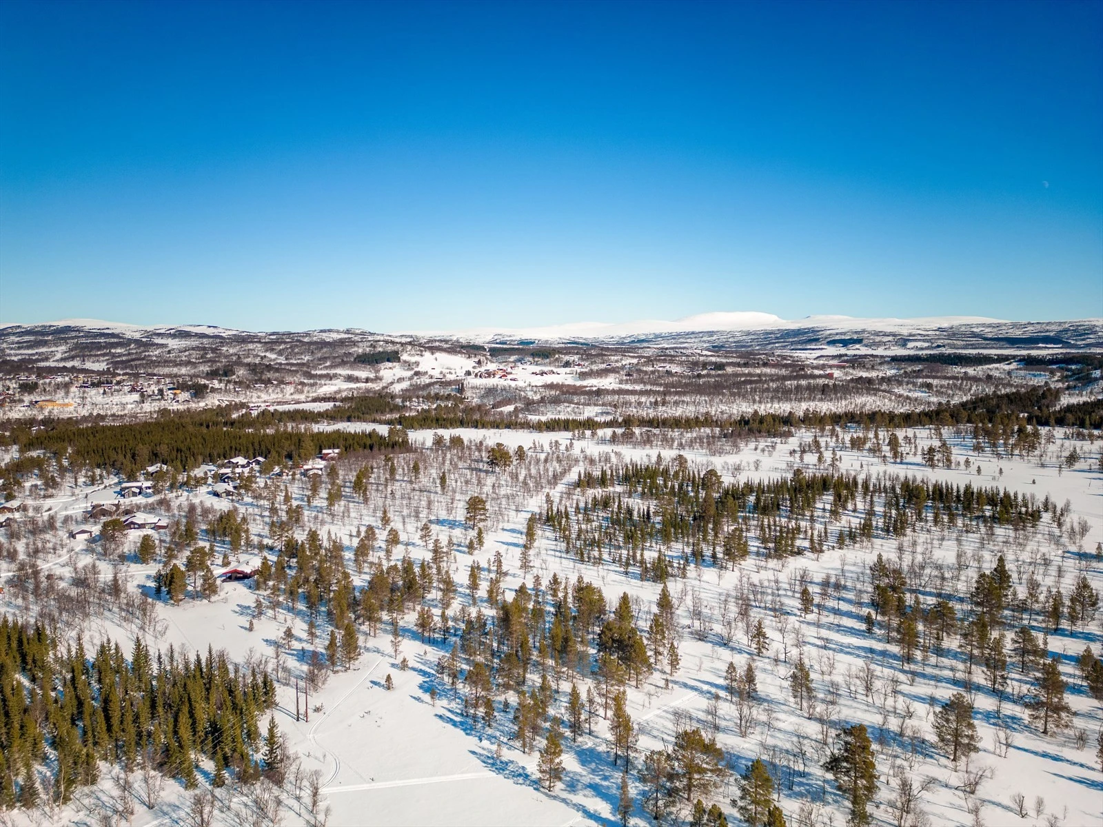 Vinterbilde av feltet. Fjellet Storskarven i bakgrunnen. Galleribilde