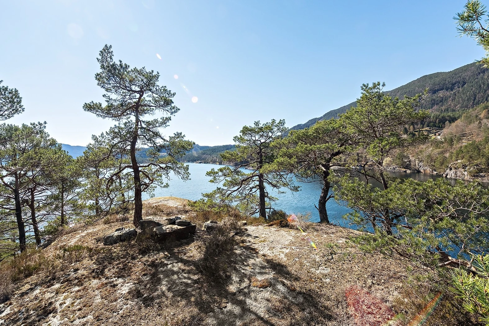 Naturtomt som består av berg og skog. Galleribilde