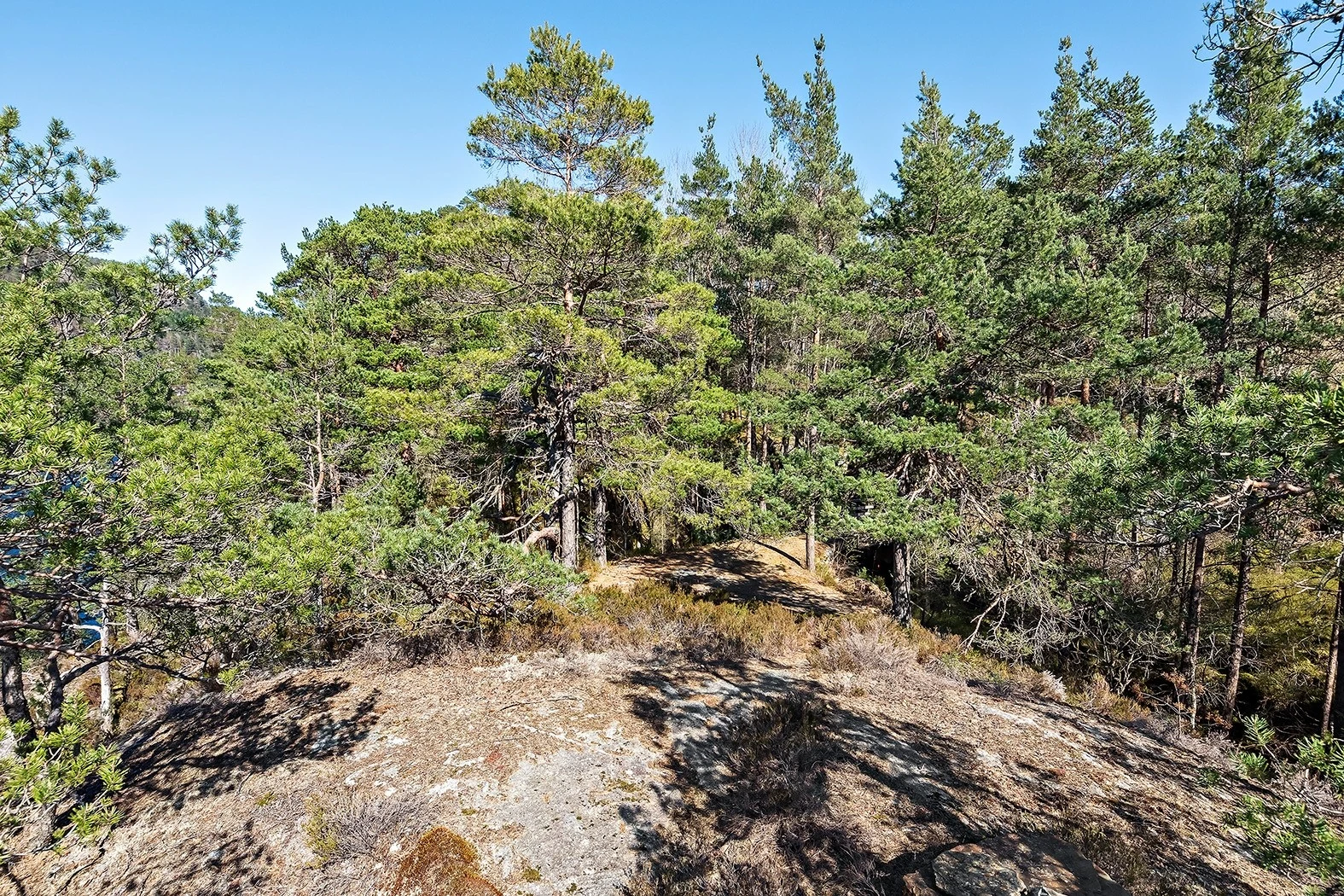 objpict_10526964885083_0.jpg Galleribilde