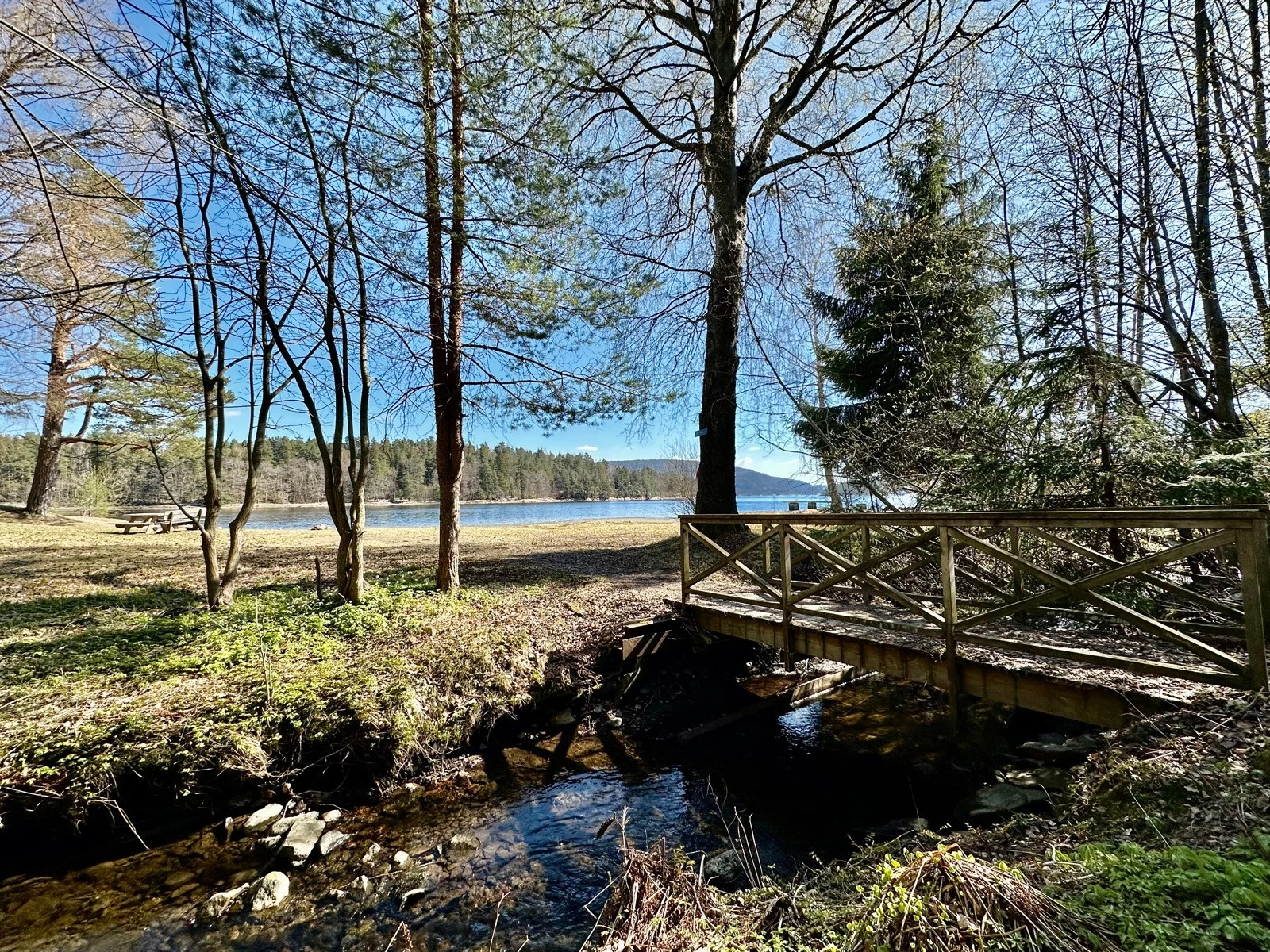 En hyggelig spasertur fører deg til Bestonstranda. Galleribilde